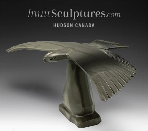 20" Hawk by Joe Sala