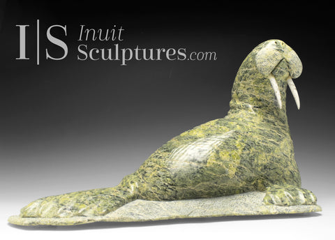 15" Basking Walrus by Johnny Palister