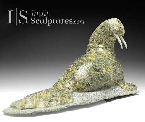 15" Basking Walrus by Johnny Palister