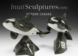 6" SIGNATURE Orca by Johnnysa Mathewsie Family Jewels Two*