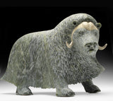 17" SIGNATURE Muskox by Lucassie Ikkidluaq "Limey*