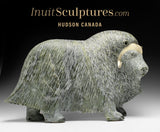 17" SIGNATURE Muskox by Lucassie Ikkidluaq "Limey*