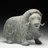 17" SIGNATURE Muskox by Lucassie Ikkidluaq "Limey*