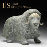 17" SIGNATURE Muskox by Lucassie Ikkidluaq "Limey*