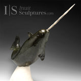 14" Museum Calibre Narwhal by Paul Malliki