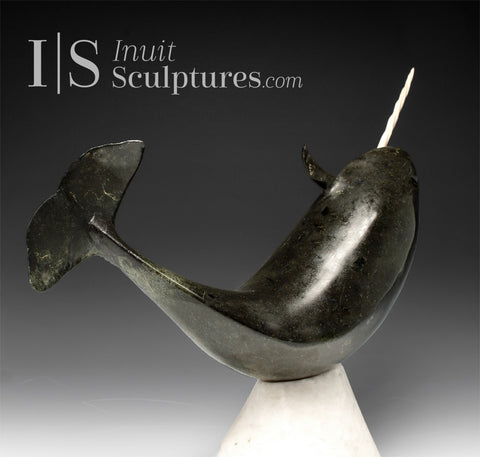 14" Museum Calibre Narwhal by Paul Malliki