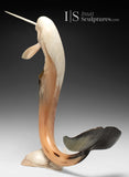 21" Muskox Horn Narwhal  by Paul Malliki *Neptune* CURATOR'S CHOICE