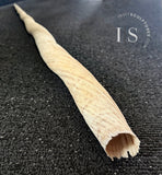 188 cm / 6.2 feet (74") Narwhal Tusk Perfect Tip Ivory