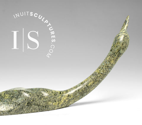 16" SIGNATURE Loon by Ning Ashoona *Noel Noel*