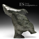 Ours dansant SIGNATURE 16" par Elite Carver Nuna Parr *Look Up*