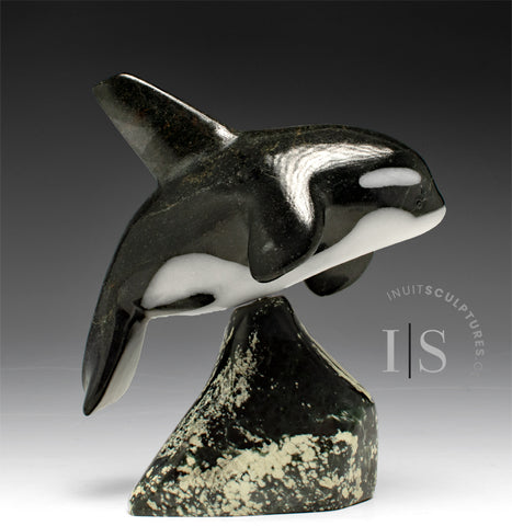 7” SIGNATURE Orca by Johnnysa Mathewsie *Poised* (Copy)