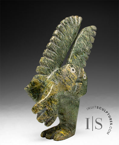 8" SIGNATURE Owl by Palaya Qiatsuq