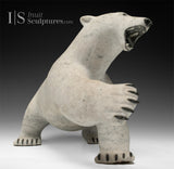 12" Polar Bear by Paul Malliki *Swipe Left*