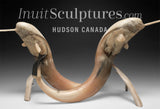 21" Narwhal Mates by Paul Malliki *En Garde!*