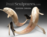 21" Narwhal Mates by Paul Malliki *En Garde!*