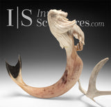 20" Narwhal Sedna by Paul Malliki