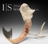 20" Narwhal Sedna by Paul Malliki