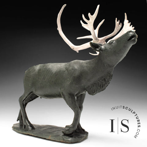 Caribou de calibre musée 22" par Paul Malliki *Sa Majesté*