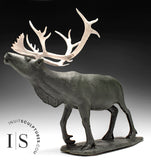 Caribou de calibre musée 22" par Paul Malliki *Sa Majesté*