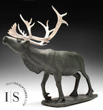 22" Museum Calibre Caribou by Paul Malliki *His Majesty*