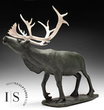 22" Museum Calibre Caribou by Paul Malliki *His Majesty*