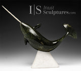 14" Museum Calibre Narwhal by Paul Malliki