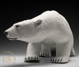 28" Museum Calibre Polar Bear by Paul Malliki *Rambler*