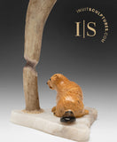 9" Beaver Cutting Down Tree by Peter K. *Timber*