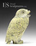 8" SIGNATURE Owl by Pits Qimirpik *Cactus*