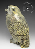 9" SIGNATURE Owl by the Late Pits Qimirpik *Tawny Girl*