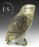 9" SIGNATURE Owl by the Late Pits Qimirpik *Tawny Girl*