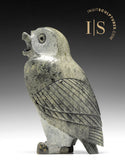 8" SIGNATURE Owl RARE Pale Green Stone by Pits Qimirpik *Laddie*