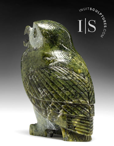 7" SIGNATURE Owl by Pits Qimirpik *Fern*
