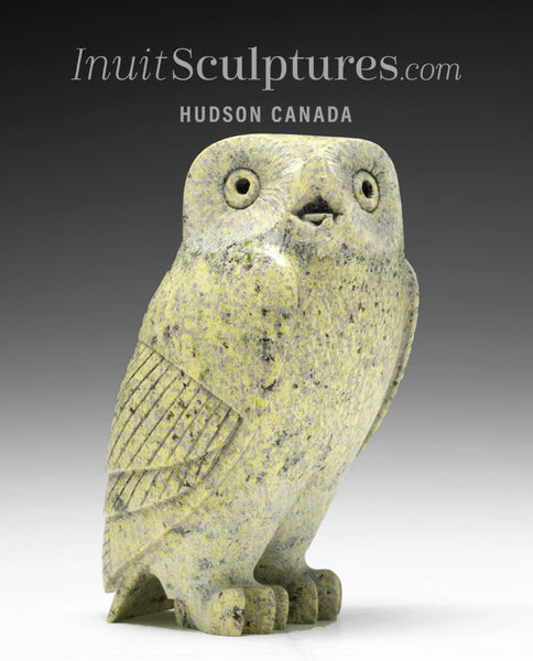 8" SIGNATURE Owl by Pits Qimirpik *Cactus*