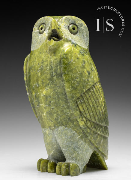 8" SIGNATURE Owl by Pits Qimirpik *Nobility*
