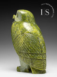 8" SIGNATURE Owl by Pits Qimirpik *Nobility*