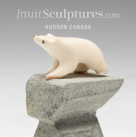 3" Miniature Ivory Bear by Simon Kudlistiak *Diamond Girl*