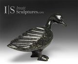 Oie SIGNATURE 7" par Pudlalik Shaa *Churchill*