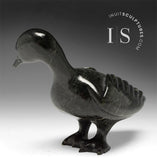 Oie SIGNATURE 7" par Pudlalik Shaa *Churchill*