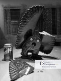 PROFESSIONAL RESTORATIONS and  REPAIRS