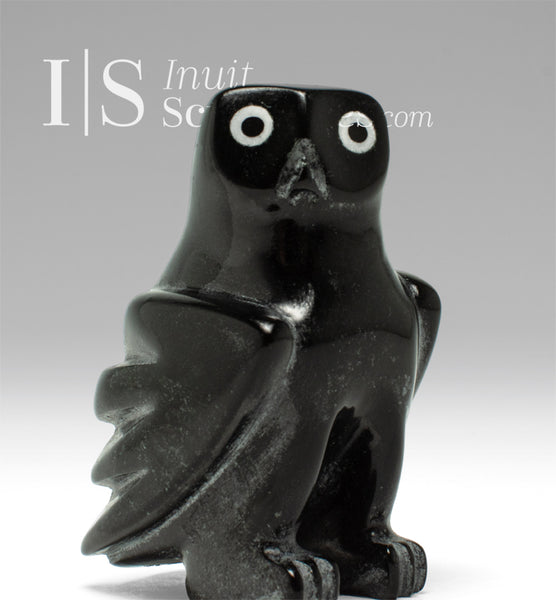 4" SIGNATURE Owl by Sam Qiatsuk *Little Sam #2*
