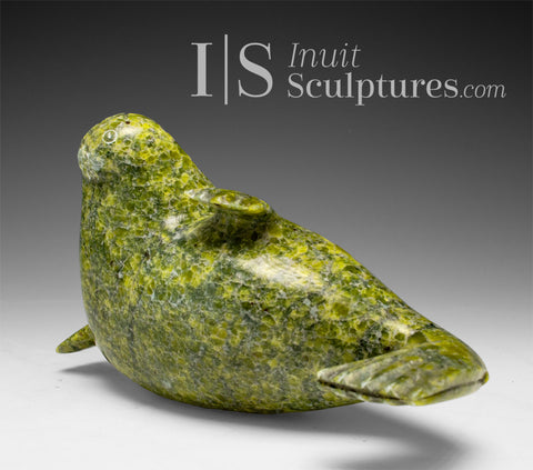 6" Basking Seal by the late Suati Qimirpik *On Balance* EXHIBITION PIECE AUG 14
