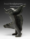 RESERVED** 6” SIGNATURE Diving Bear by Tim Pee *Magic in Motion*