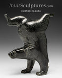 RESERVED** 6” SIGNATURE Diving Bear by Tim Pee *Magic in Motion*