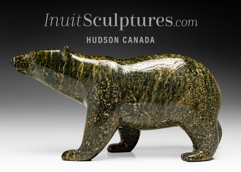 Ours marchant SIGNATURE 13" par Tim Pee *Callisto*