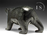 10" Walking Bear by Tim Pee *Canadiens' Fan*
