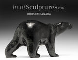 Ours ambulant SIGNATURE 9" par Tim Pee *Coal*