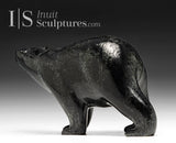 Ours ambulant SIGNATURE 9" par Tim Pee *Coal*