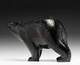 9" SIGNATURE Walking Bear by Tim Pee *Coal*