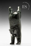 11" Diving Bear by Tim Pee *Tumbler*